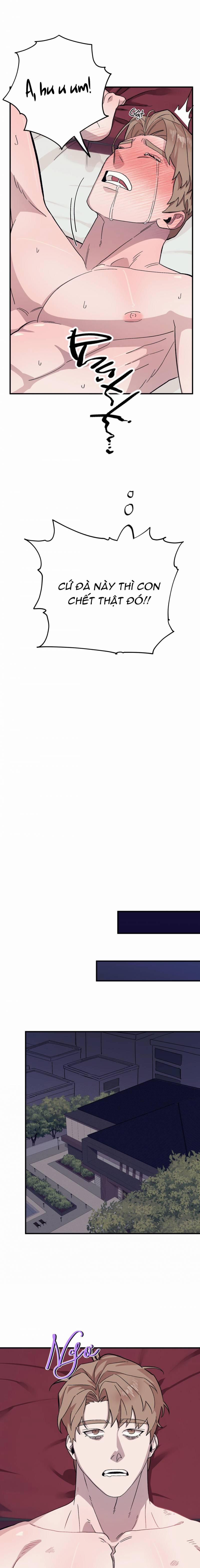 Chàng Dâu Nhà Họ Kang 51 trang 2