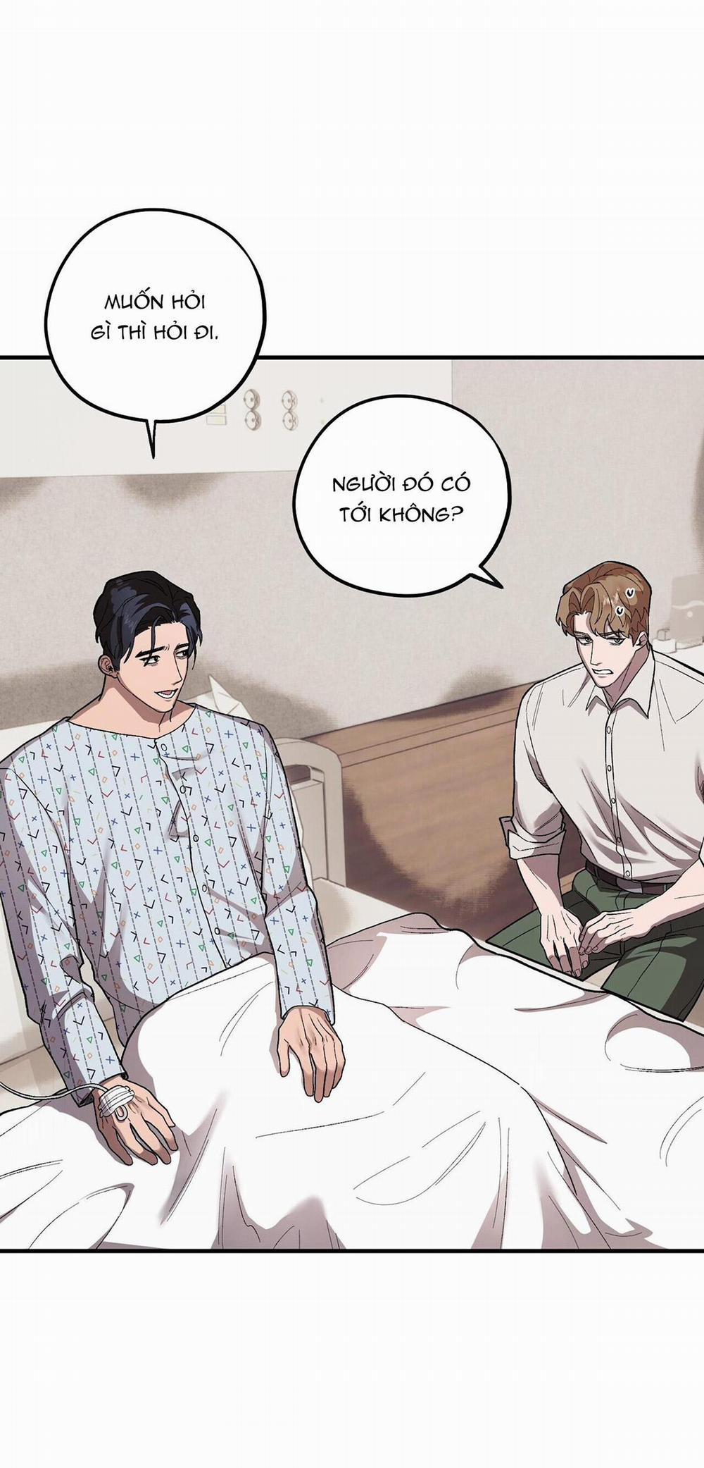 Chàng Dâu Nhà Họ Kang 56 trang 21