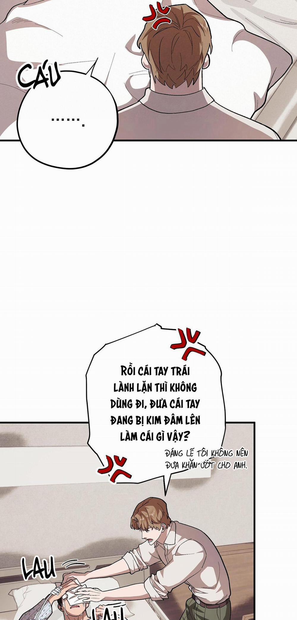 Chàng Dâu Nhà Họ Kang 56 trang 8