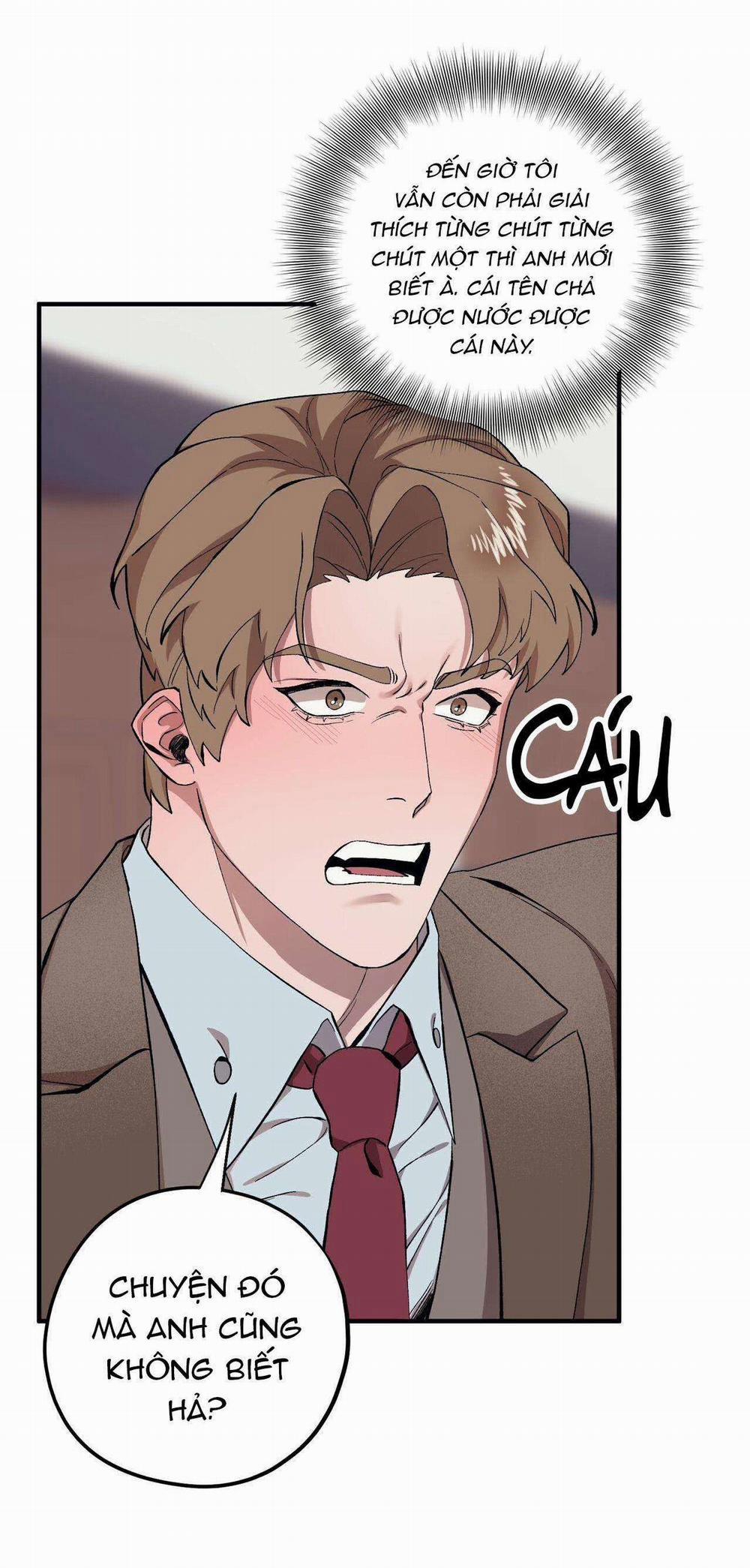 Chàng Dâu Nhà Họ Kang 62 trang 47