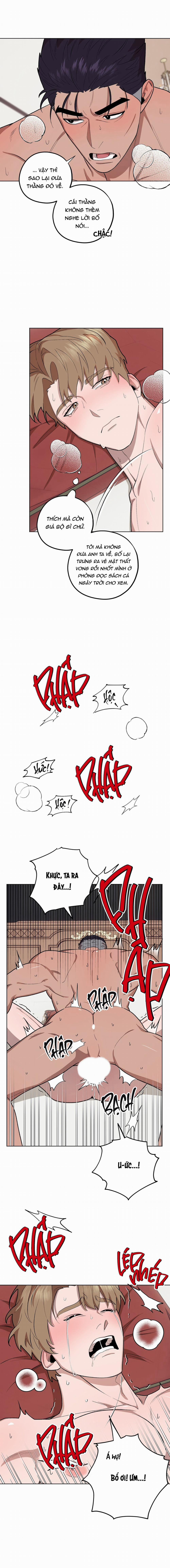 Chàng Dâu Nhà Họ Kang 72 0 END trang 11