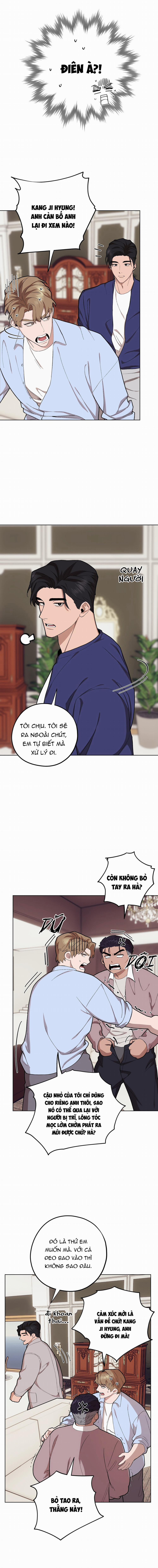 Chàng Dâu Nhà Họ Kang 72 0 END trang 4