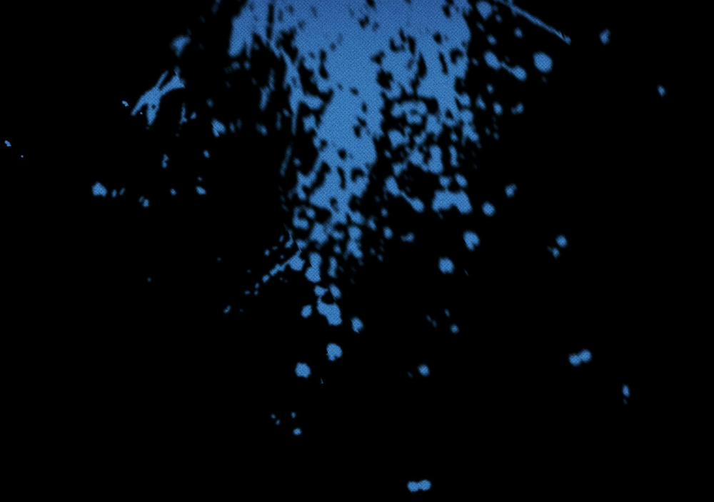 Chàng Giao Pizza Và Gold Palace 10 trang 116