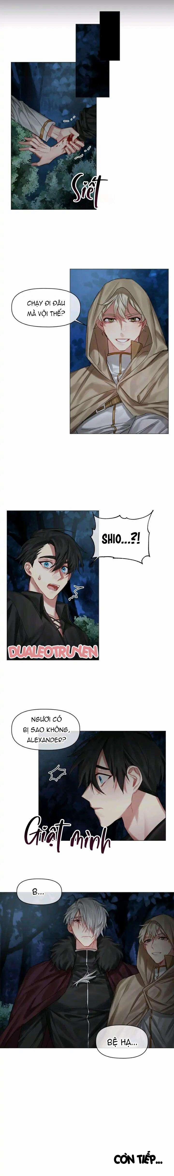 Chàng Hiệp Sĩ Và Rồng Vàng 0 0 21 trang 11