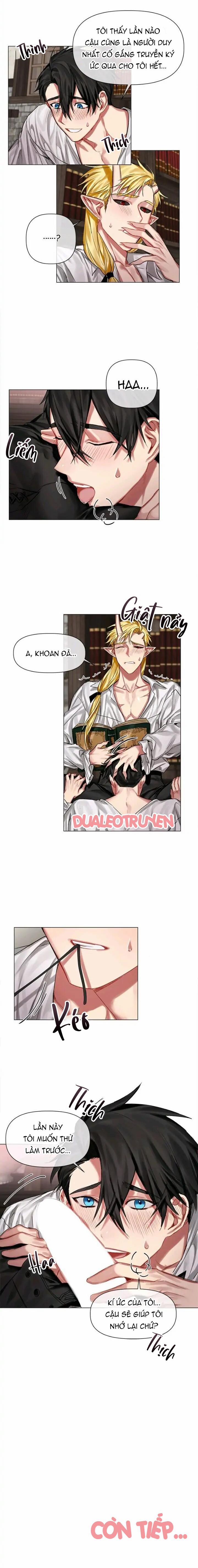 Chàng Hiệp Sĩ Và Rồng Vàng 10 trang 11