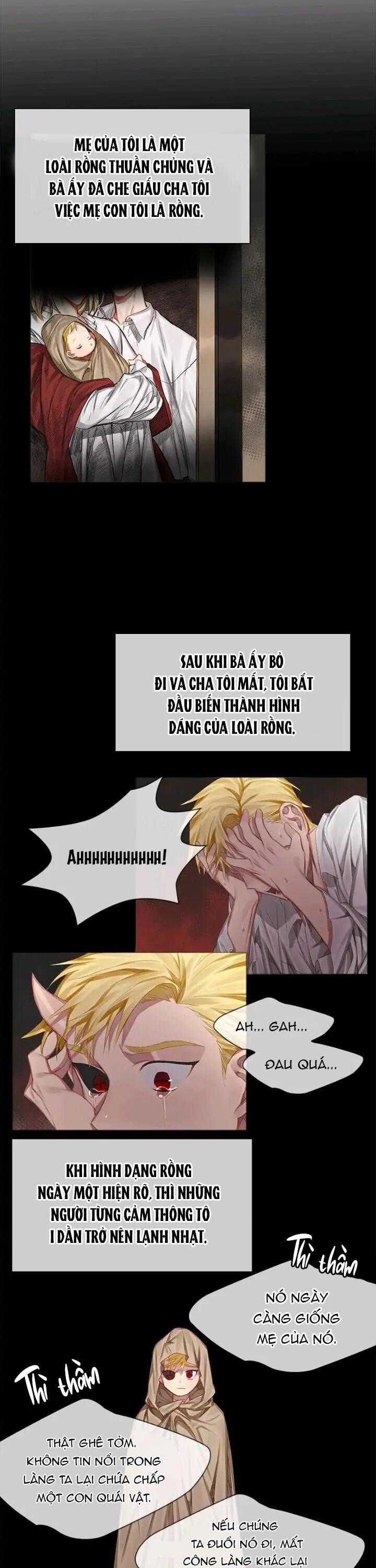 Chàng Hiệp Sĩ Và Rồng Vàng 2 0 2 trang 4