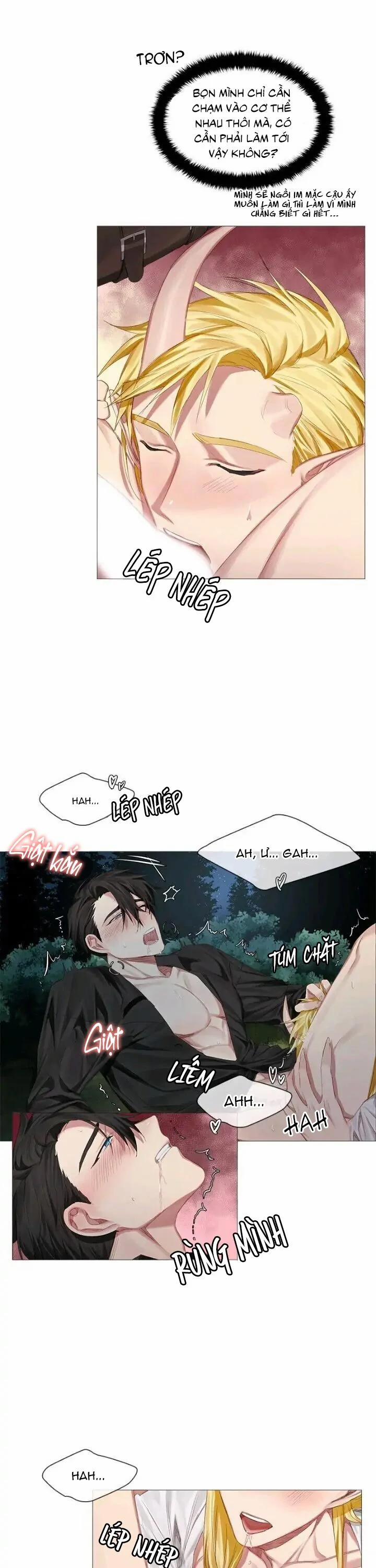 Chàng Hiệp Sĩ Và Rồng Vàng 2 trang 12