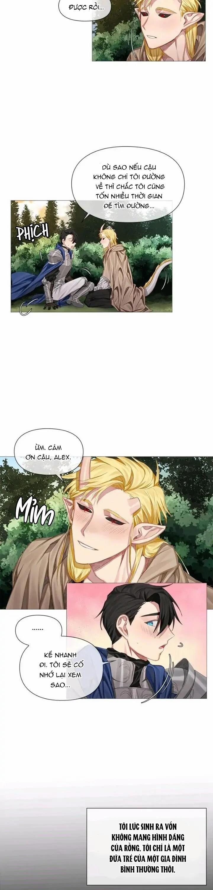 Chàng Hiệp Sĩ Và Rồng Vàng 2 trang 3