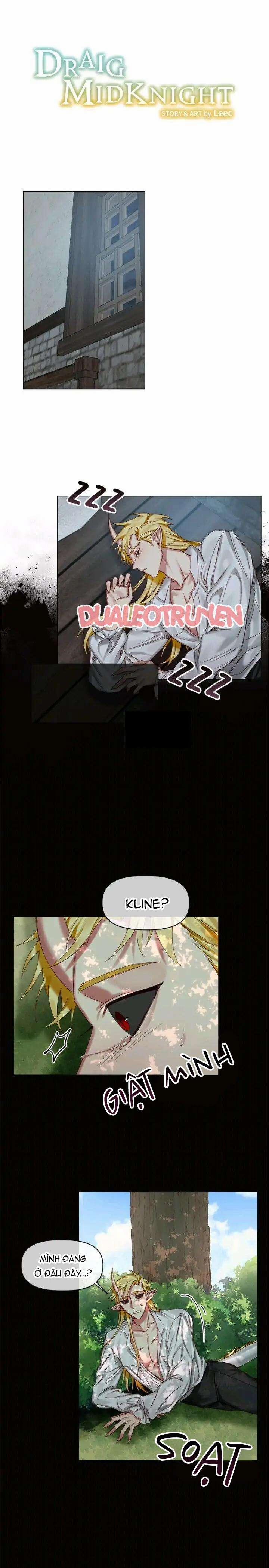 Chàng Hiệp Sĩ Và Rồng Vàng 23 trang 0