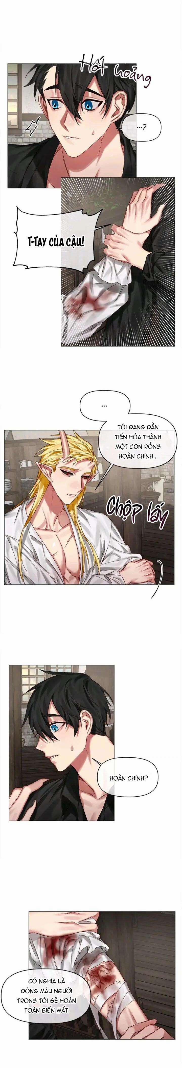 Chàng Hiệp Sĩ Và Rồng Vàng 23 trang 9