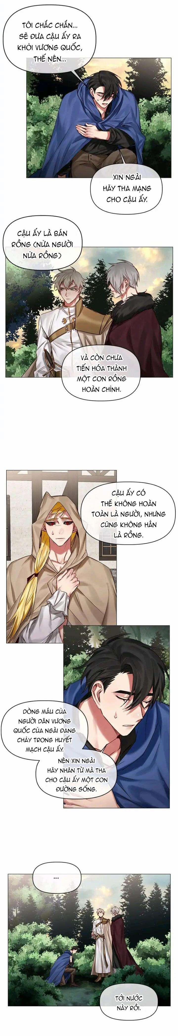 Chàng Hiệp Sĩ Và Rồng Vàng 24 trang 9