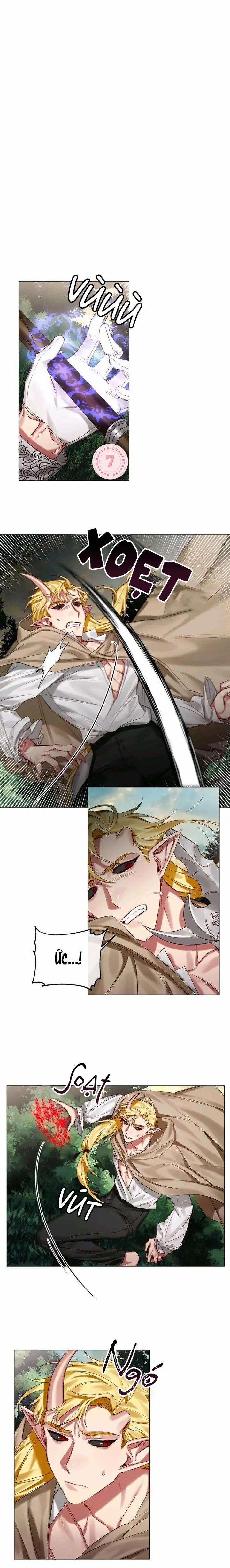 Chàng Hiệp Sĩ Và Rồng Vàng 25 trang 0