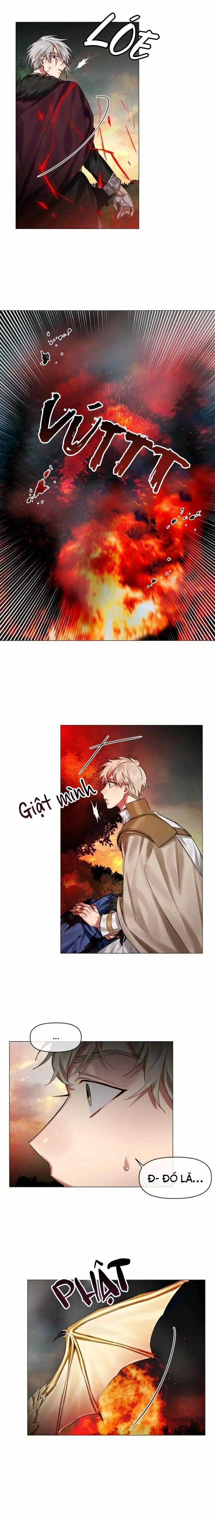 Chàng Hiệp Sĩ Và Rồng Vàng 26 trang 10