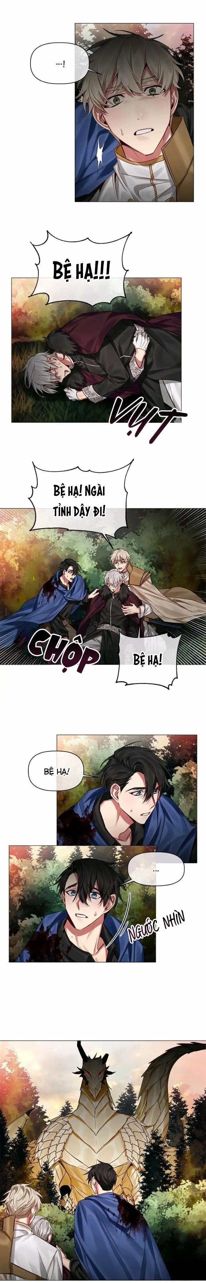 Chàng Hiệp Sĩ Và Rồng Vàng 27 0 27 trang 9