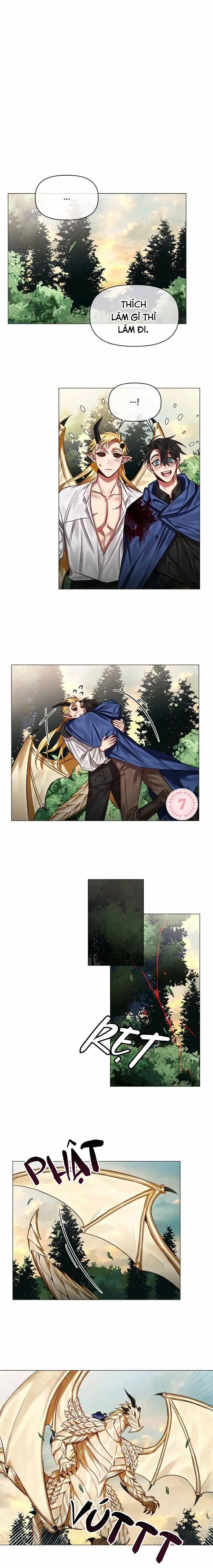 Chàng Hiệp Sĩ Và Rồng Vàng 28 0 28 trang 10