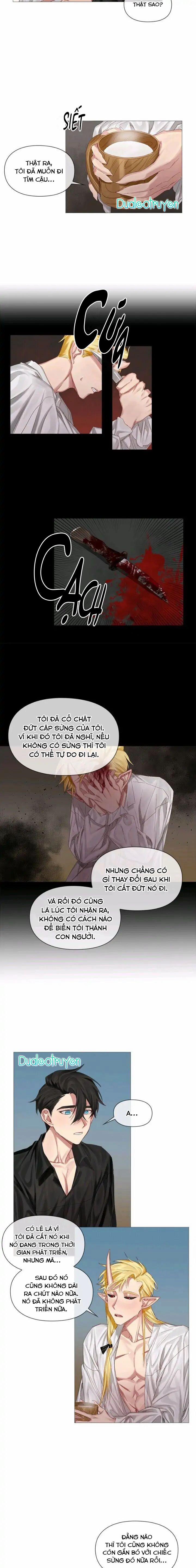 Chàng Hiệp Sĩ Và Rồng Vàng 4 trang 6