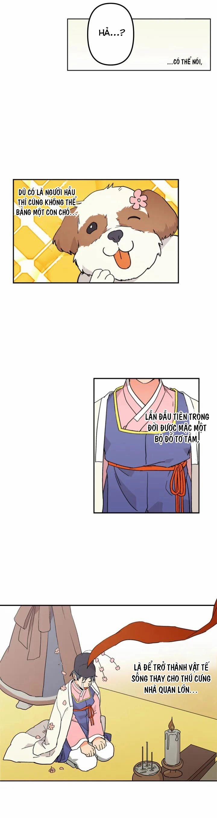 Chàng Hổ Và Vật Tế 1 trang 5