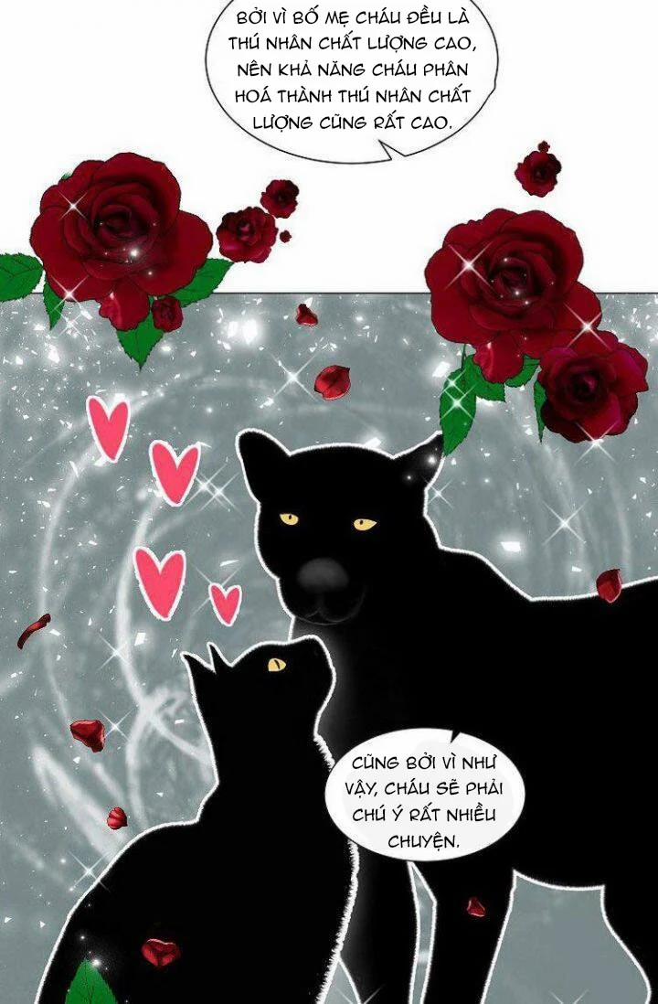 Chàng Mèo Của Tôi 1.2 trang 8