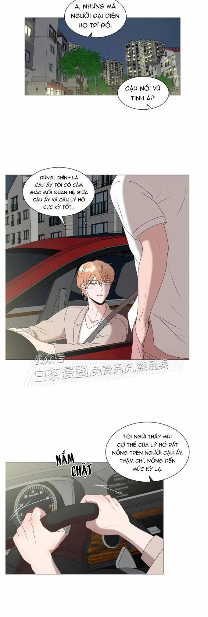 Chàng Mèo Của Tôi 4.2 trang 13