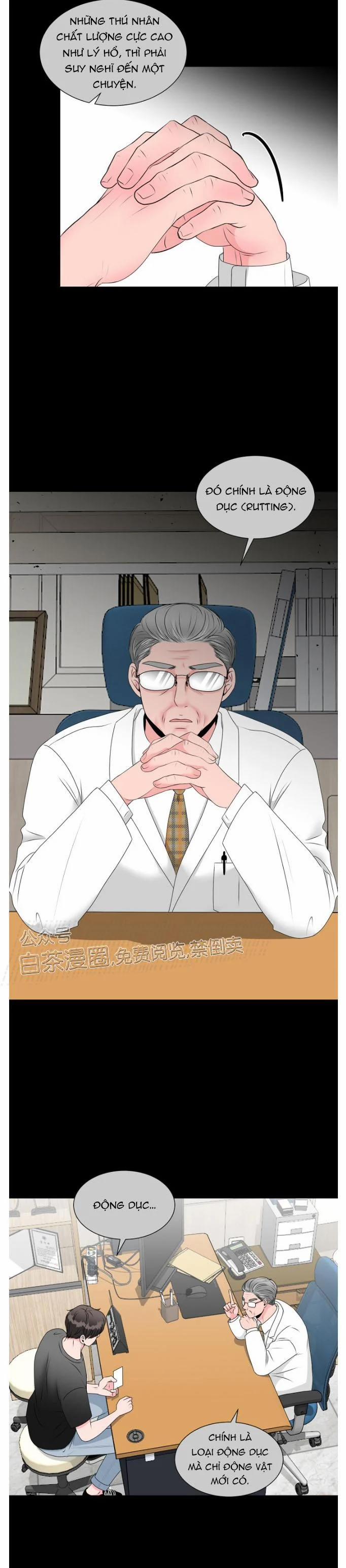 Chàng Mèo Của Tôi 4.2 trang 19