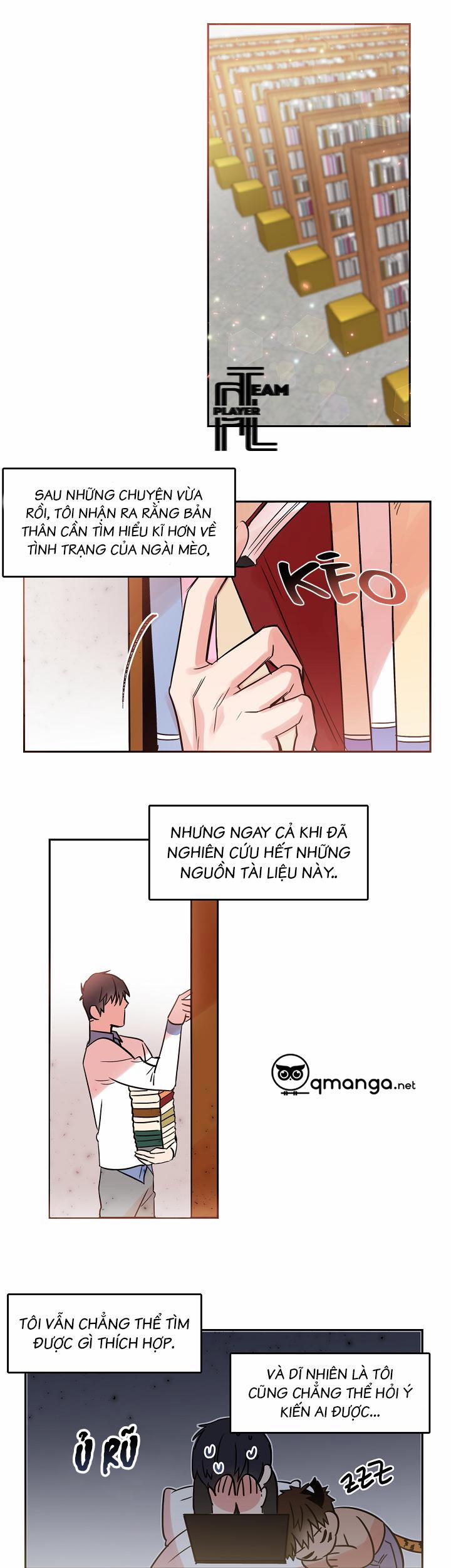 Chàng Mèo Trong Hộp Carton 26.1 trang 0