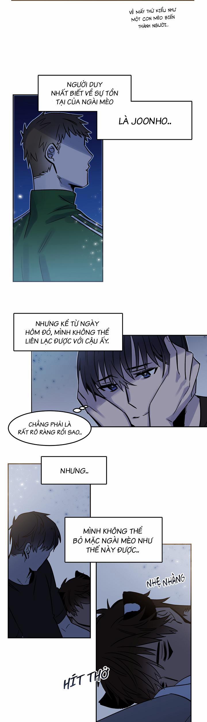 Chàng Mèo Trong Hộp Carton 26.1 trang 1