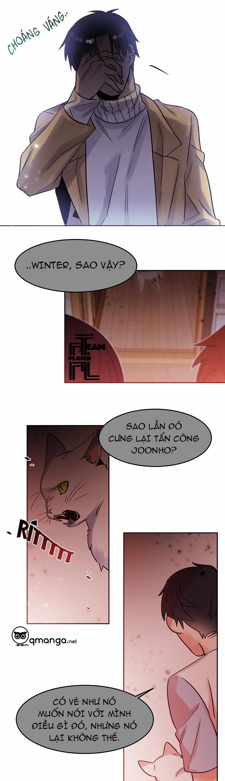 Chàng Mèo Trong Hộp Carton 27.2 trang 1