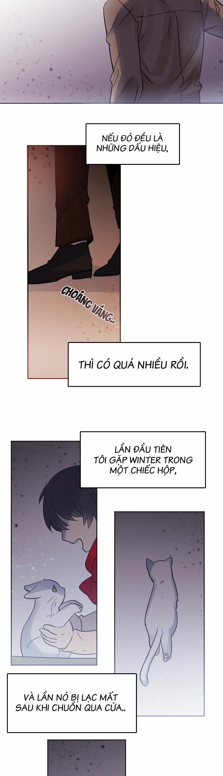 Chàng Mèo Trong Hộp Carton 27.2 trang 5