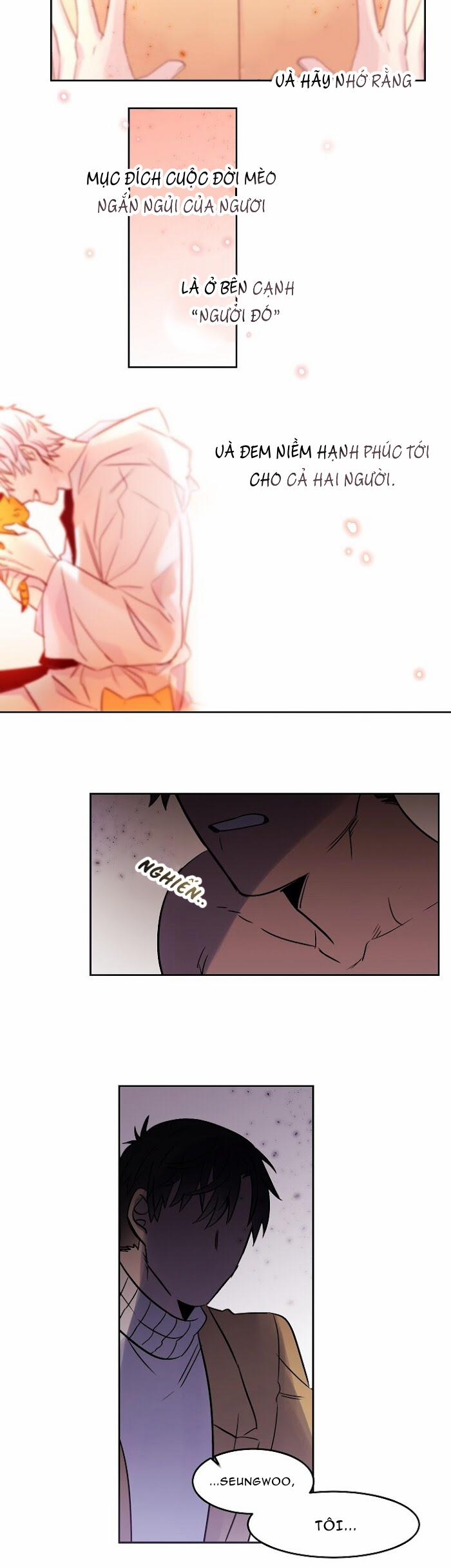 Chàng Mèo Trong Hộp Carton 28.1 trang 8