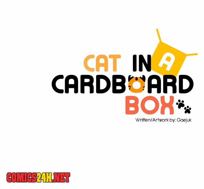 Chàng Mèo Trong Hộp Carton 29 trang 21