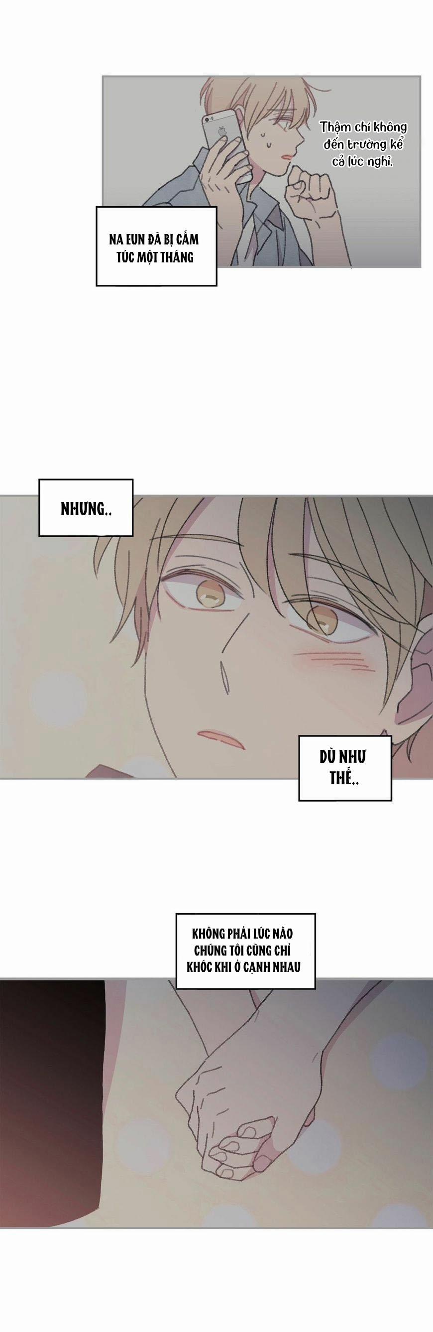 Chẳng Thể Rời Mắt Khỏi Cậu 20 trang 4