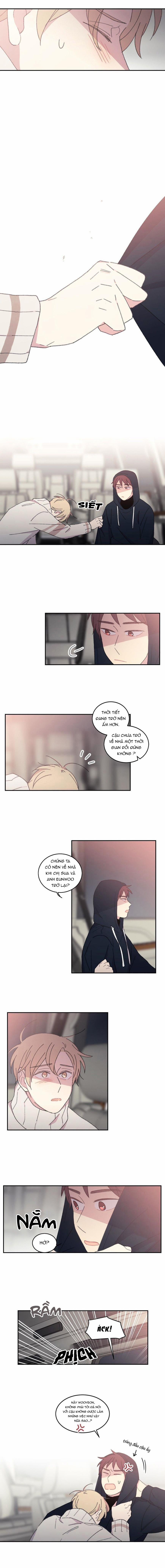 Chẳng Thể Rời Mắt Khỏi Cậu 23 trang 6