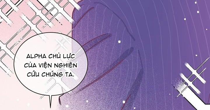 Chàng Tuấn Mã Của Tôi 1 trang 115