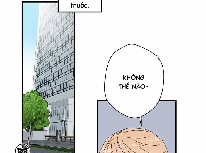 Chàng Tuấn Mã Của Tôi 1 trang 23