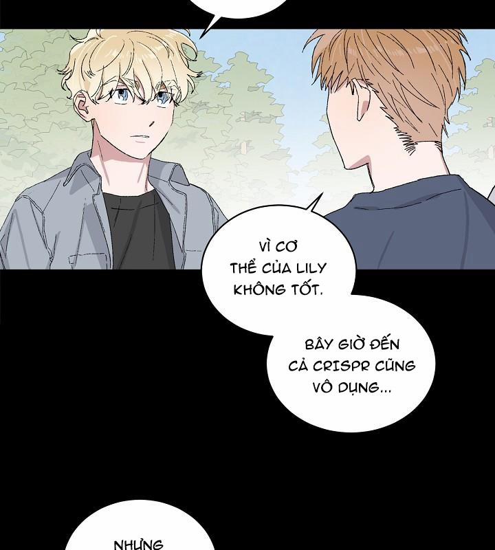 Chàng Tuấn Mã Của Tôi 13 trang 29