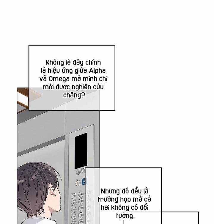 Chàng Tuấn Mã Của Tôi 18 trang 50