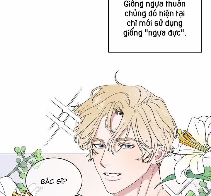 Chàng Tuấn Mã Của Tôi 2 trang 18