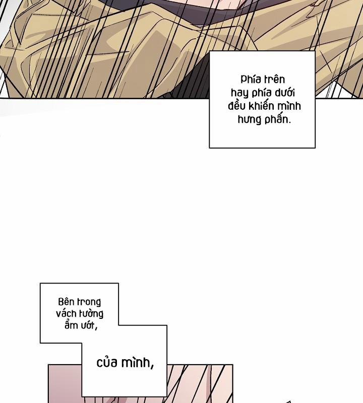 Chàng Tuấn Mã Của Tôi 22 trang 51