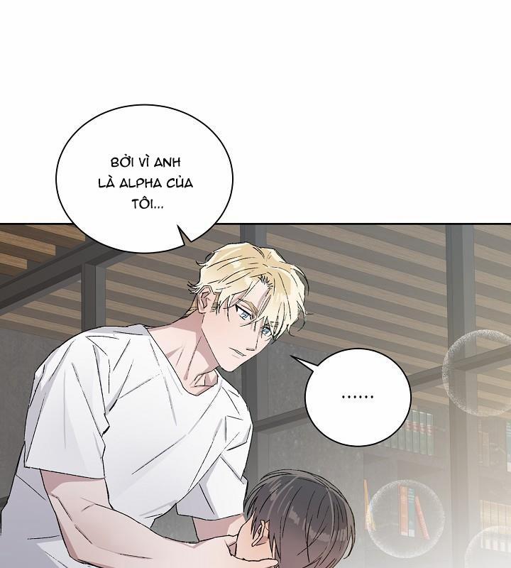 Chàng Tuấn Mã Của Tôi 22 trang 80