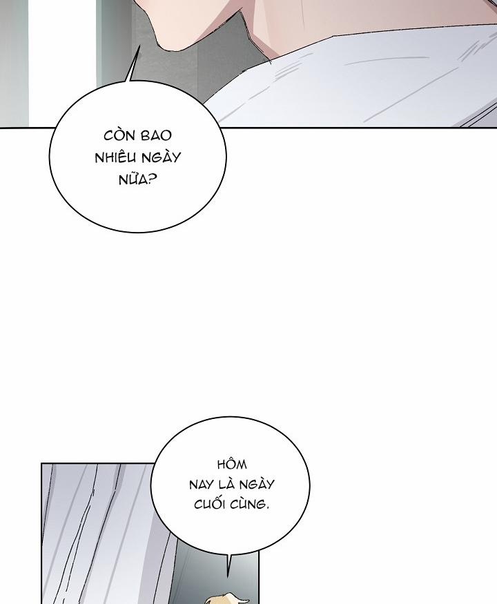 Chàng Tuấn Mã Của Tôi 24 trang 19