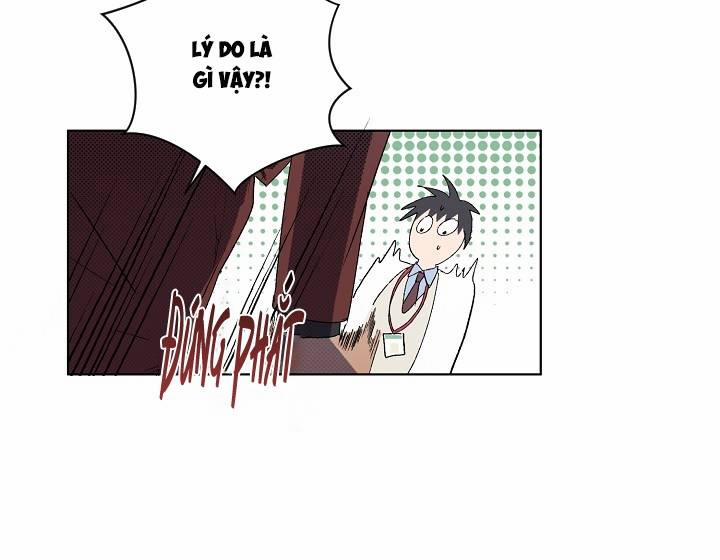 Chàng Tuấn Mã Của Tôi 28 trang 15