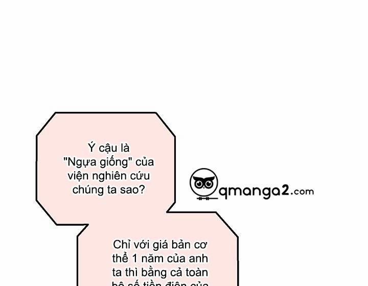 Chàng Tuấn Mã Của Tôi 28 trang 29
