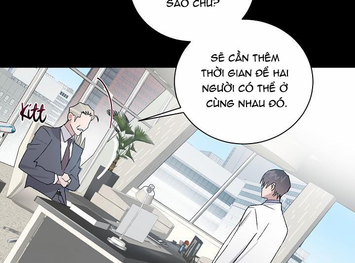 Chàng Tuấn Mã Của Tôi 29 trang 29