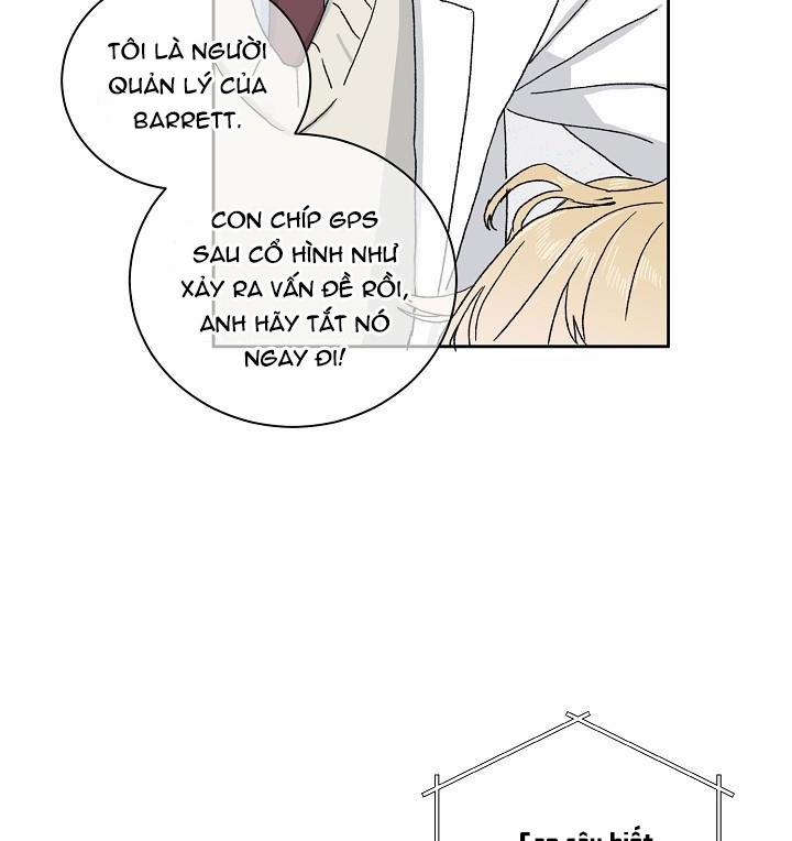 Chàng Tuấn Mã Của Tôi 3 trang 72