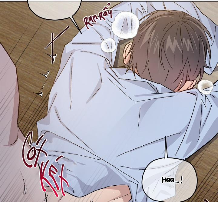 Chàng Tuấn Mã Của Tôi 30 trang 24