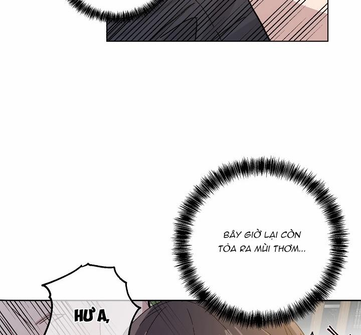 Chàng Tuấn Mã Của Tôi 31 trang 39