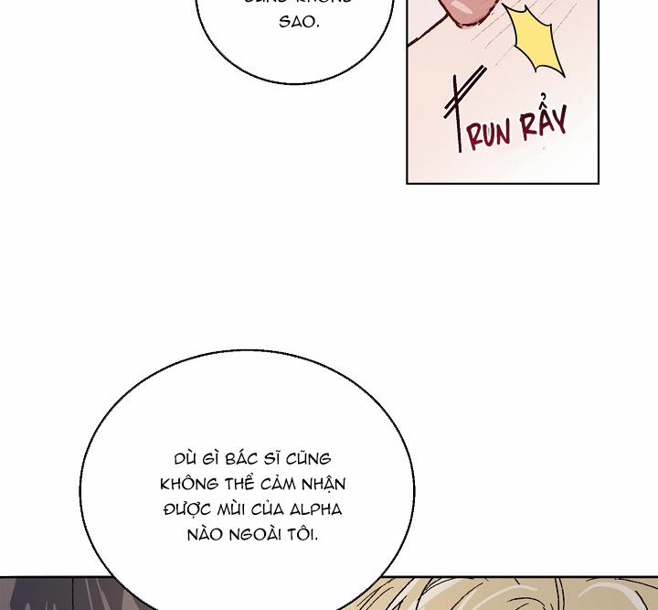 Chàng Tuấn Mã Của Tôi 31 trang 81