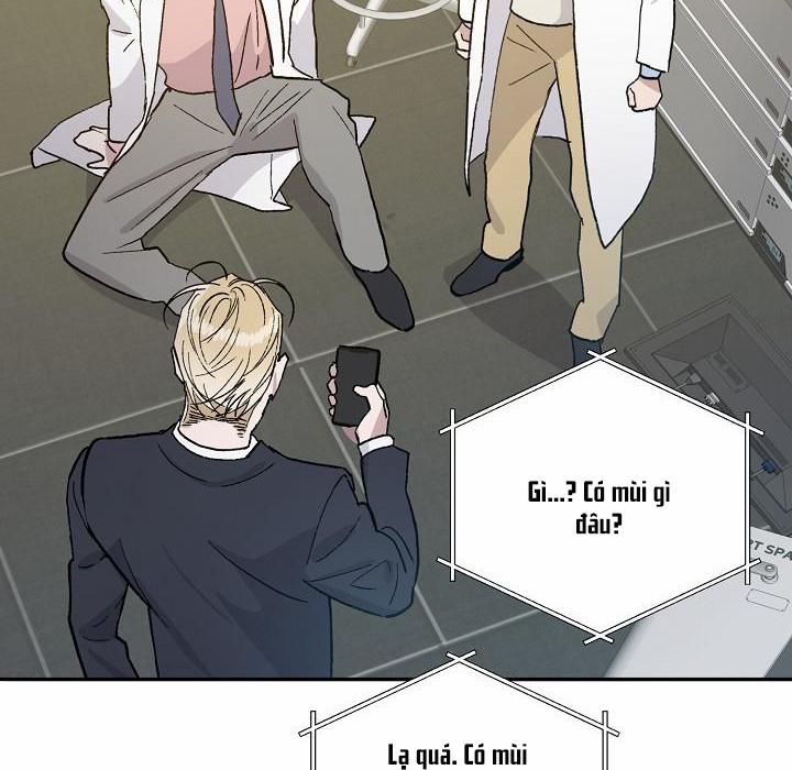 Chàng Tuấn Mã Của Tôi 36 trang 53