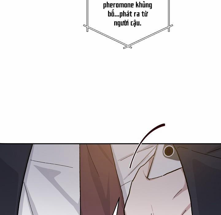 Chàng Tuấn Mã Của Tôi 36 trang 54