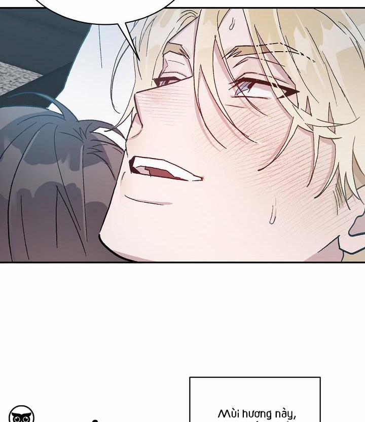 Chàng Tuấn Mã Của Tôi 39 trang 29